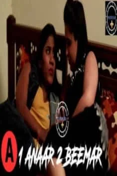 1 Anaar 2 Beemar Nuefliks Original (2021) Hindi