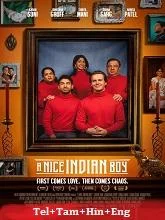 A Nice Indian Boy (2025) Telugu Dubbed