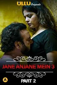 CharmSukh (Anjane Mein 3) (2021) Hindi