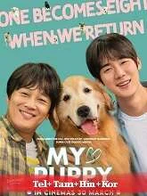 My Heart Puppy (2023) Telugu Dubbed