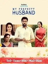 My Perfectt Husband Season 1 (2024) Telugu